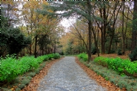 K���k �aml�ca