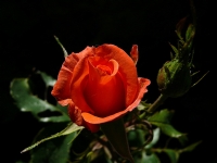 Ya�as�n Ulusal Egemenlik Ve �ocuk Bayram�m�z