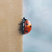 T�rman�� - Foto�raf: Yasin Ar�k foto�raflar� foto�raf galerisi. 