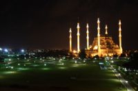 Merkez Parkn Gecesi - Fotoraf: Renan Harbiyeli fotoraflar fotoraf galerisi. 